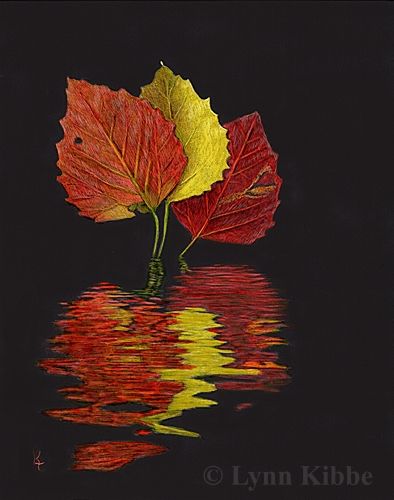 Lynn Kibbe1